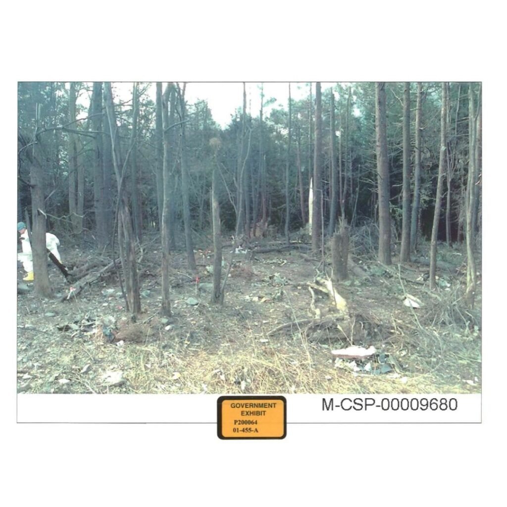 Debris from Flight 93 scattered among hemlock trees near the crash site, photographed by National Park Service investigators.
