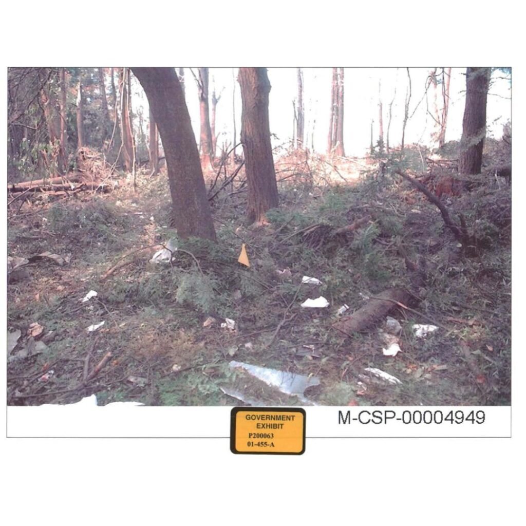 Debris scattered in the trees near the Flight 93 impact site.