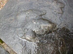 Close‑up of authentic dinosaur footprints preserved in stone at Gettysburg