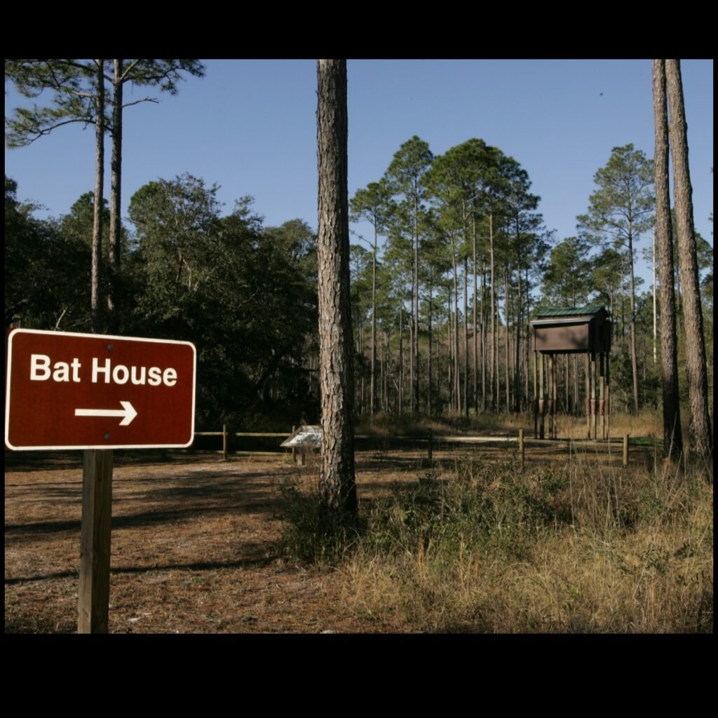 a sign saying bat house showing a bat house