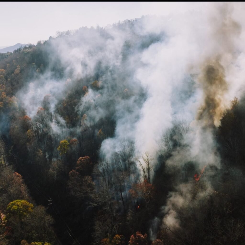 Wildfire smoke rising from a forested mountainside, showing dense smoke drifting through trees.