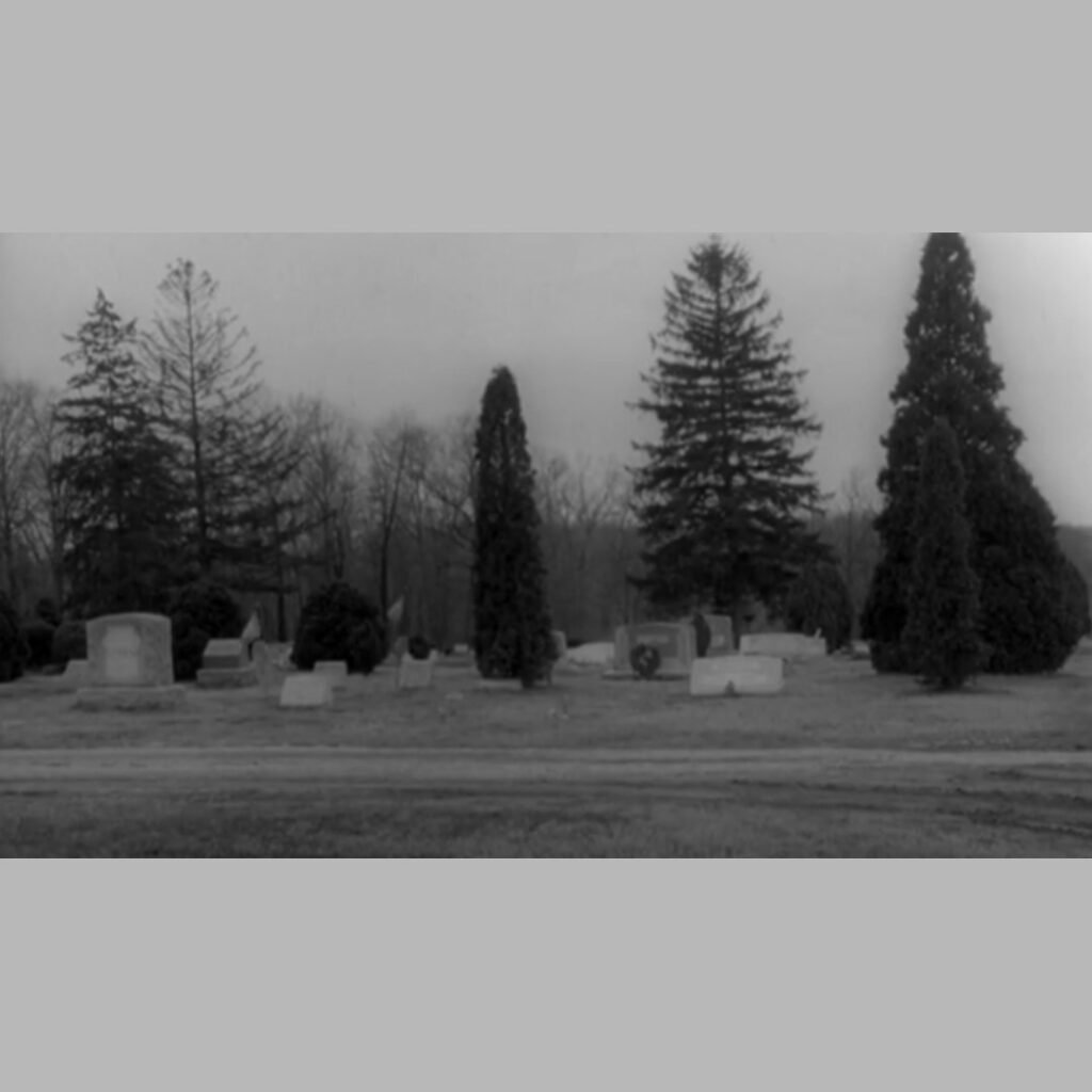 Black‑and‑white view of the cemetery’s interior road lined with gravestones and trees, as seen in Night of the Living Dead.